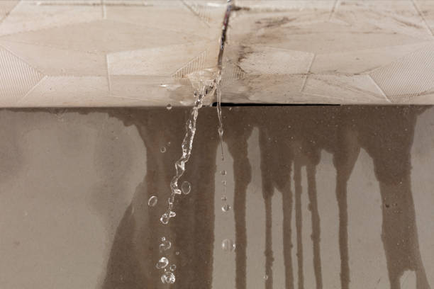 Professional Water Extraction technician working in Peculiar, MO